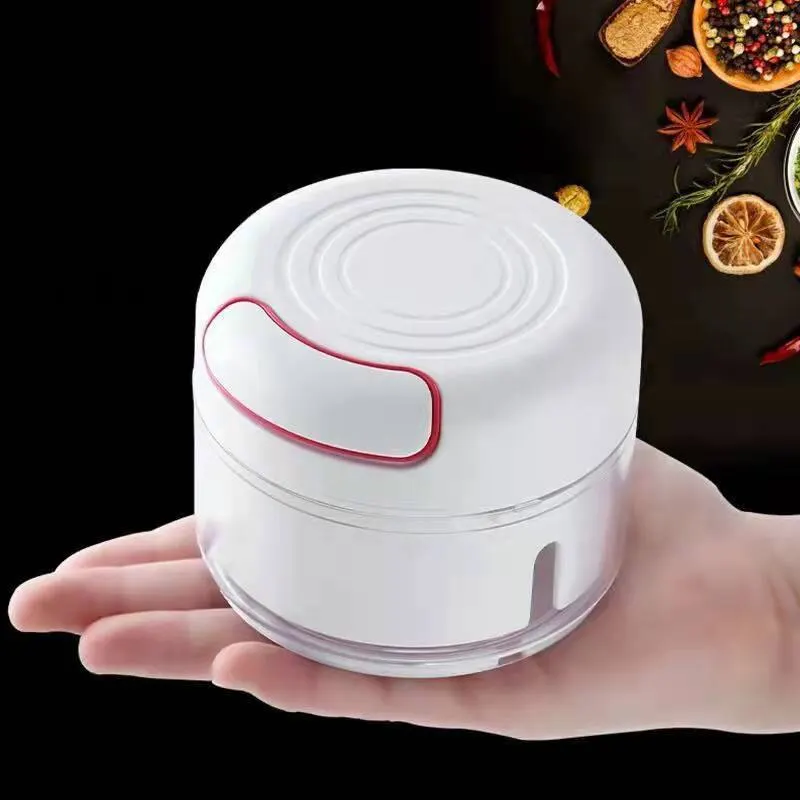 Kitchen Gadgets Pakistan - Plastic Garlic Crusher Press Vegetable Cutter